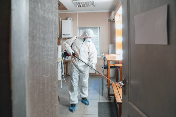 Professional Mold Removal in Apollo Beach, FL